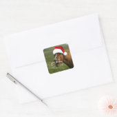 Sticker Carré Funny Christmas horse with Santa a smiling (Enveloppe)