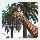 Sticker Carré Funny Giraffe Giving A Raspberry Birthday Sickers (Devant)