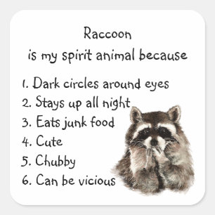 Sticker Carré Funny Raccoon Spirit Humour animal