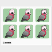 Sticker Carré Galah Birdorable (Feuille)