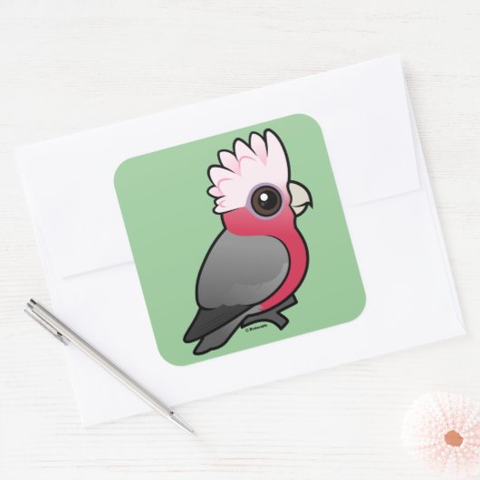 Sticker Carré Galah Birdorable (Enveloppe)