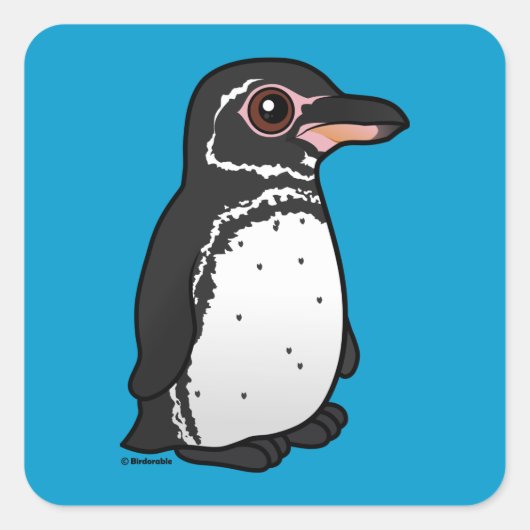 Sticker Carré Galapagos Penguin Birdorable (Devant)