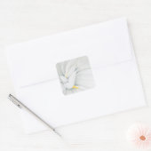 Sticker Carré Gardenia (Enveloppe)