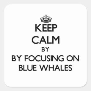 Sticker Carré Gardez le calme en se concentrant sur les baleines