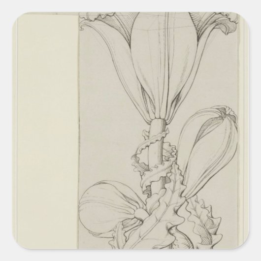 Sticker Carré Génie de la Lily, 1809 (Devant)