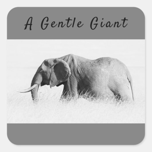 Sticker Carré Gentle Giant Elephant haute clé photo avec texte (Devant)