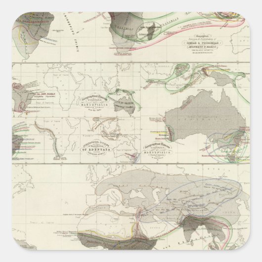 Sticker Carré Géographie zoologique (Devant)