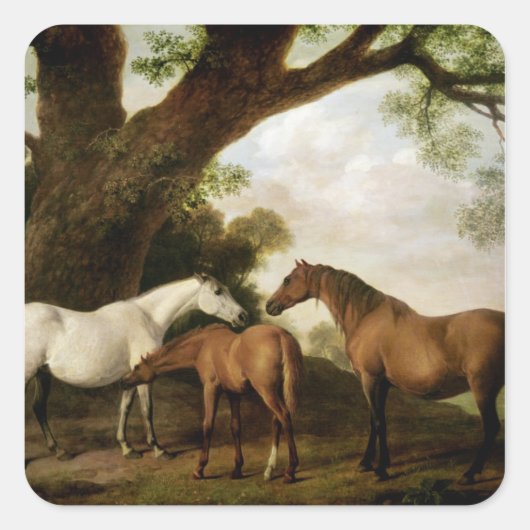 Sticker Carré George Stubbs | Two Shafto Mares and a Foal, 1774 (Devant)