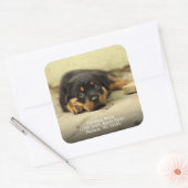 Sticker Carré German Shepherd Puppy Dog Adresse de retour (Enveloppe)