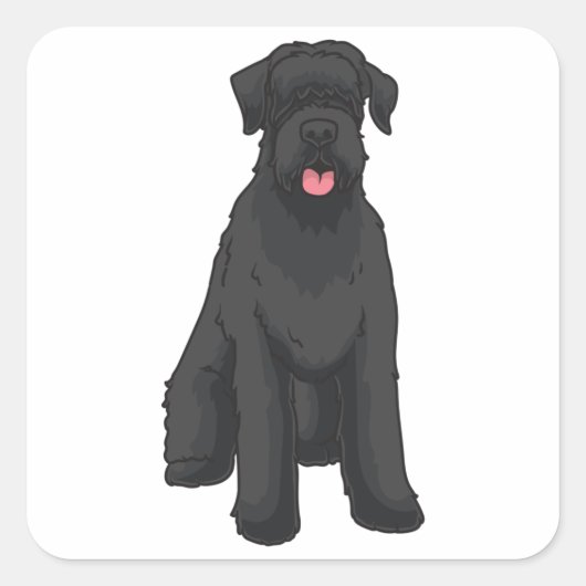 Sticker Carré Giant Schnauzer (Devant)