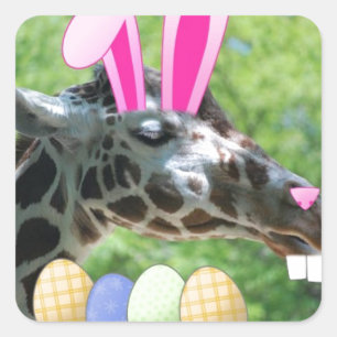 Sticker Carré Girafe de l'Est