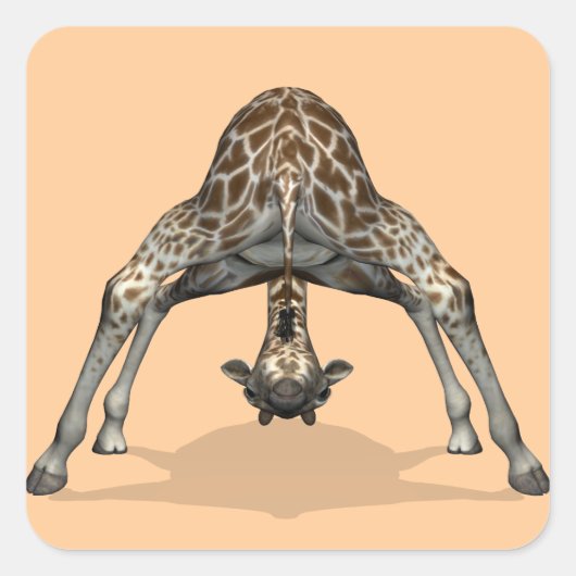 Sticker Carré Girafe flexible (Devant)