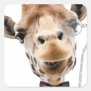 Sticker Carré Giraffe drôle avec Bowtie et Monocle