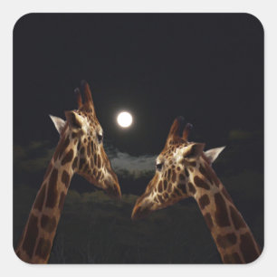 Sticker Carré Giraffe Love In the Moonlight