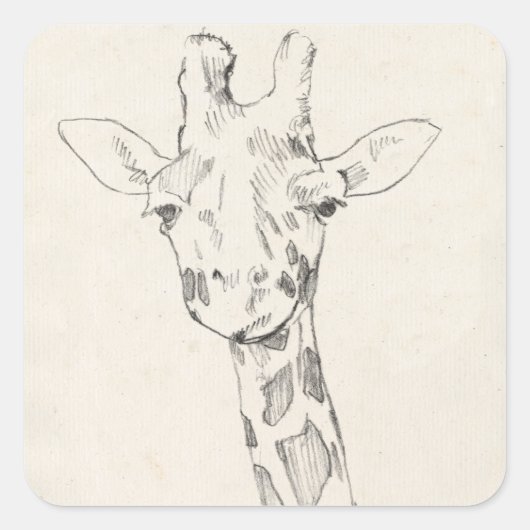 Sticker Carré Giraffe Portrait | Croquis (Devant)