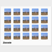 Sticker Carré Giraffe réticulée (Feuille)