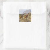 Sticker Carré Giraffe somalienne, Giraffe réticulée, Giraffa (Sac)