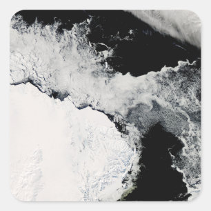 Sticker Carré Glace marine dans l'océan Austral