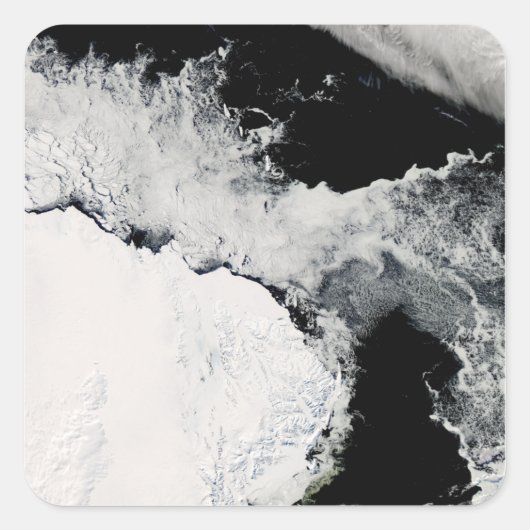 Sticker Carré Glace marine dans l'océan Austral (Devant)