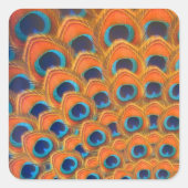 Sticker Carré Glam Boho Orange Blue Peacock Plumes (Devant)