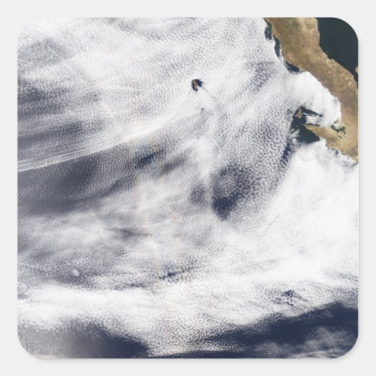 Sticker Carré Gloire sur l'océan Pacifique (Devant)