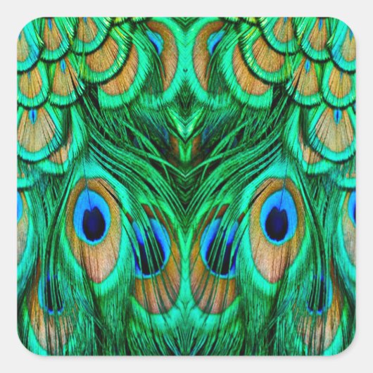 Sticker Carré Glorious Peacock (Devant)
