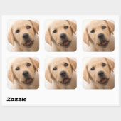 Sticker Carré Golden Labrador (Feuille)