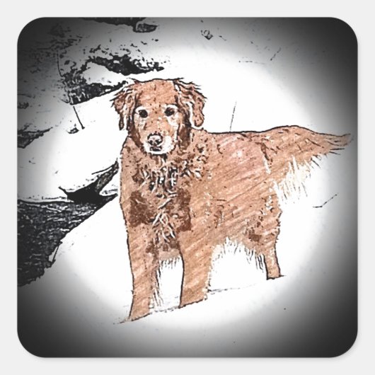 Sticker Carré Golden Retriever (Devant)