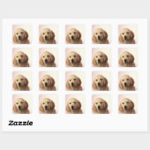 Sticker Carré Golden retriever (Feuille)