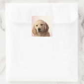 Sticker Carré Golden retriever (Sac)