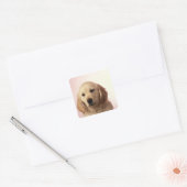 Sticker Carré Golden retriever (Enveloppe)