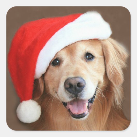 Sticker Carré Golden Retriever Avec Santa Hat (Devant)