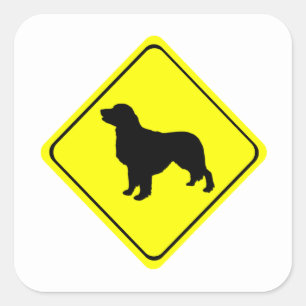 Sticker Carré Golden Retriever Avertissement Signal d'amour Chie