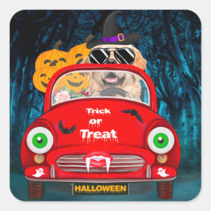 Sticker Carré Golden Retriever Chien Conduisant une Voiture Hall