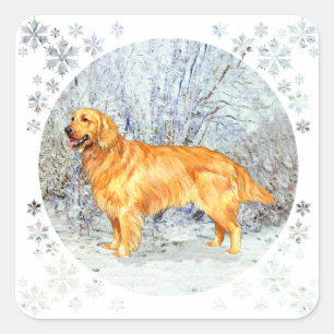 Sticker Carré Golden Retriever en Hiver