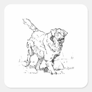 Sticker Carré Golden Retriever heureux, Personnalisé