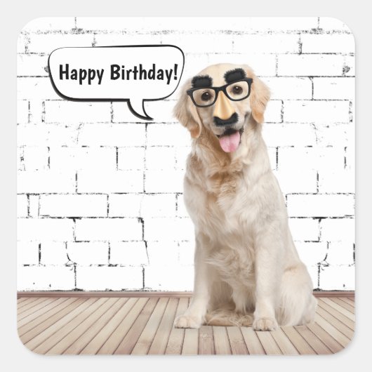 Sticker Carré Golden Retriever Humour d'anniversaire (Devant)