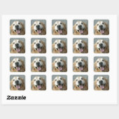 Sticker Carré Golden Retriever souriant (Feuille)