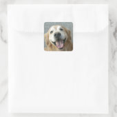 Sticker Carré Golden Retriever souriant (Sac)