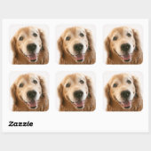 Sticker Carré Golden Retriever souriant (Feuille)