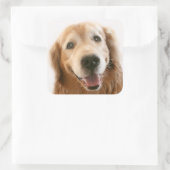 Sticker Carré Golden Retriever souriant (Sac)