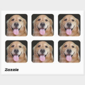 Sticker Carré Golden Retriever souriant (Feuille)