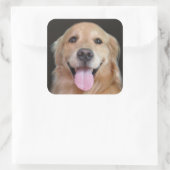 Sticker Carré Golden Retriever souriant (Sac)