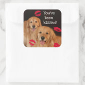 Sticker Carré Golden Retriever Vous avez été baisé (Sac)