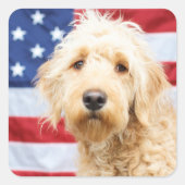 Sticker Carré Goldendoodle avec drapeau américain (Devant)
