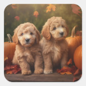 Sticker Carré Goldendoodle Chiot Automne Citrouille délice (Devant)
