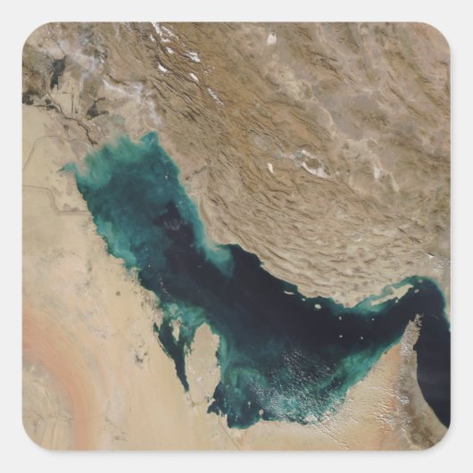 Sticker Carré Golfe Persique (Devant)