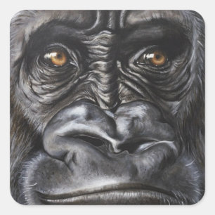 Sticker Carré Gorilla