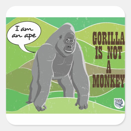 Sticker Carré Gorilla n'est pas un singe (Devant)