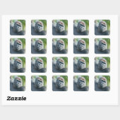 Sticker Carré Gorille curieux debout (Feuille)